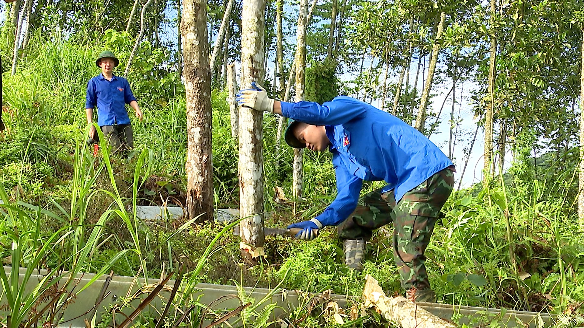 Thanh niên tình nguyện xã Lục Yên tham gia phát dọn hành lang điện. 23.jpg