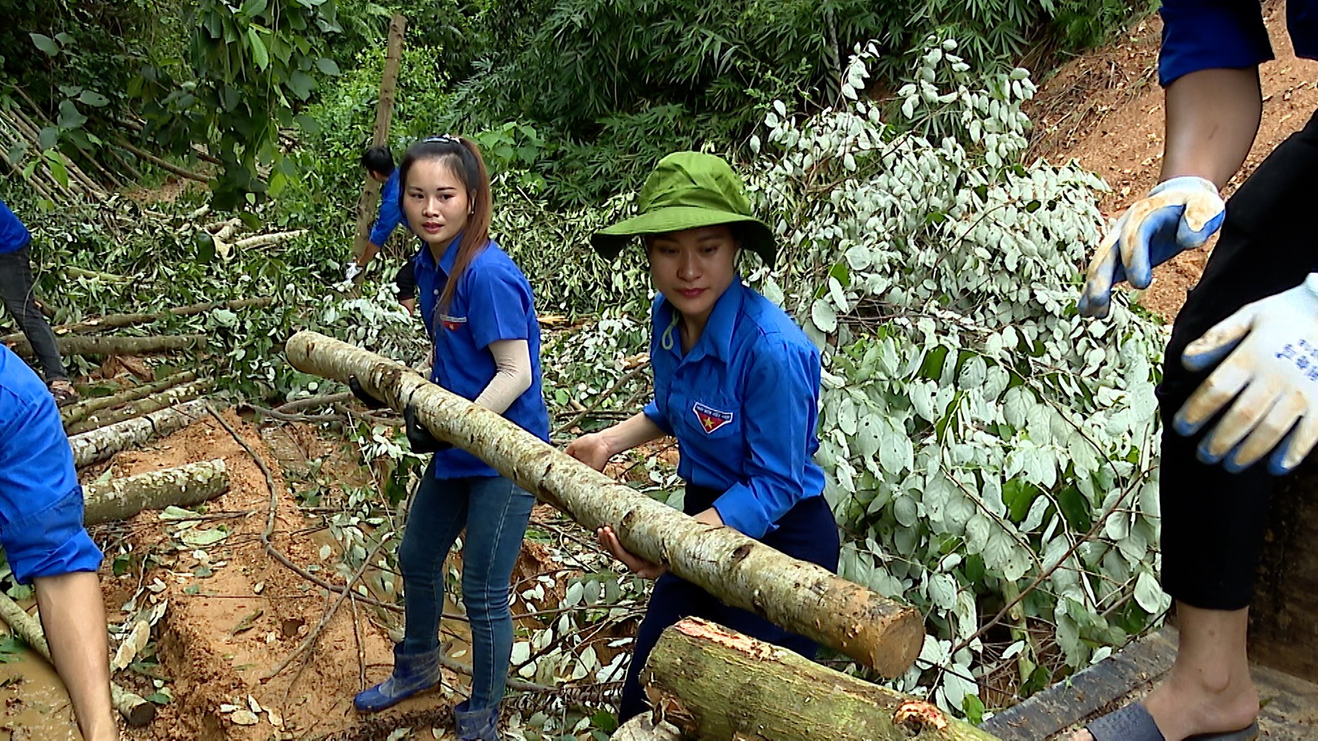 Đoàn viên, thanh niên xã Mường Lai hỗ trợ người dân vận chuyển gỗ sau giải phóng hành lang lưới điện. 190-562500-32-51-11still008.jpg