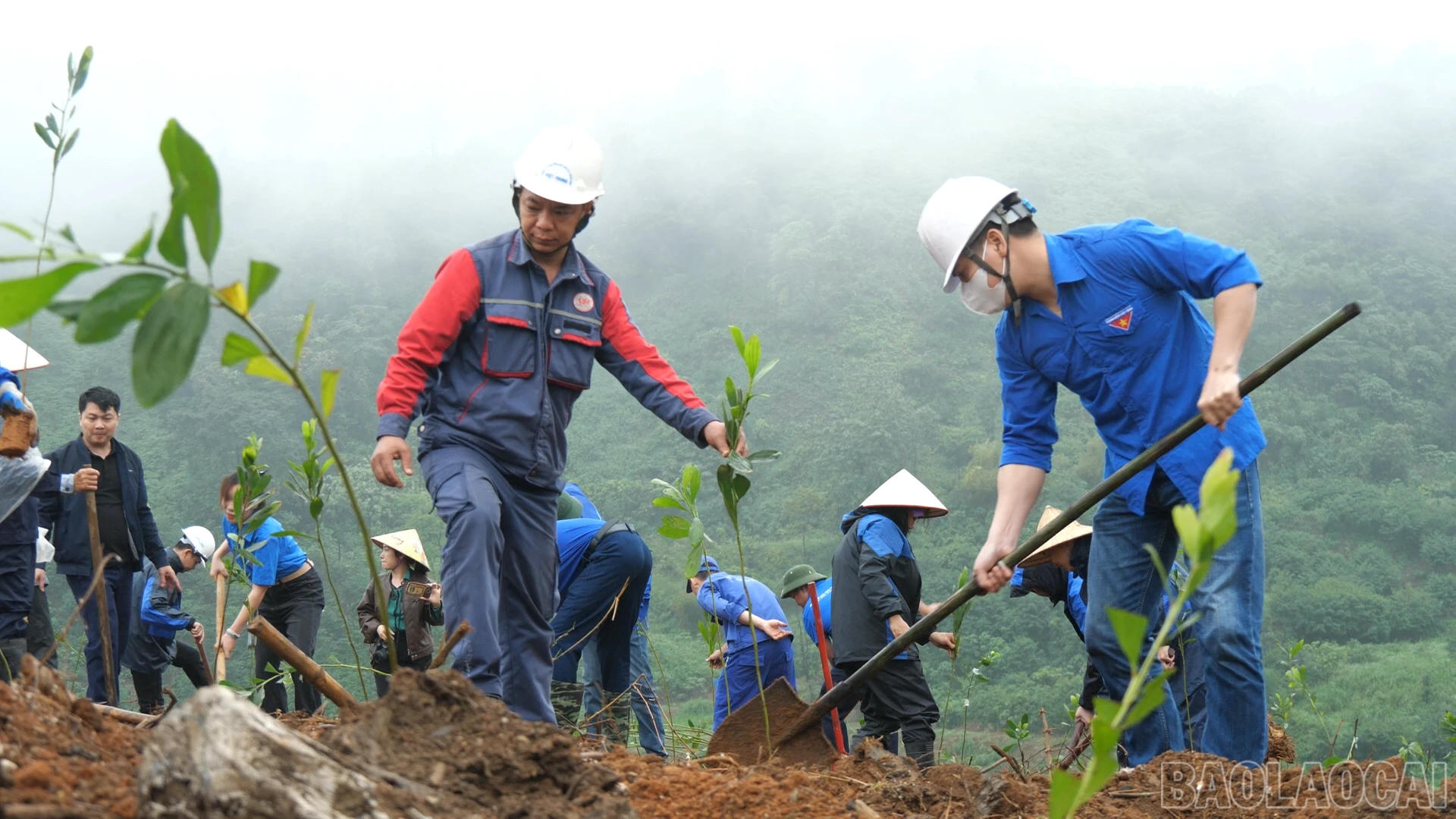 baolaocai-br_trong-cay-cn00-04-00-21still007.png
