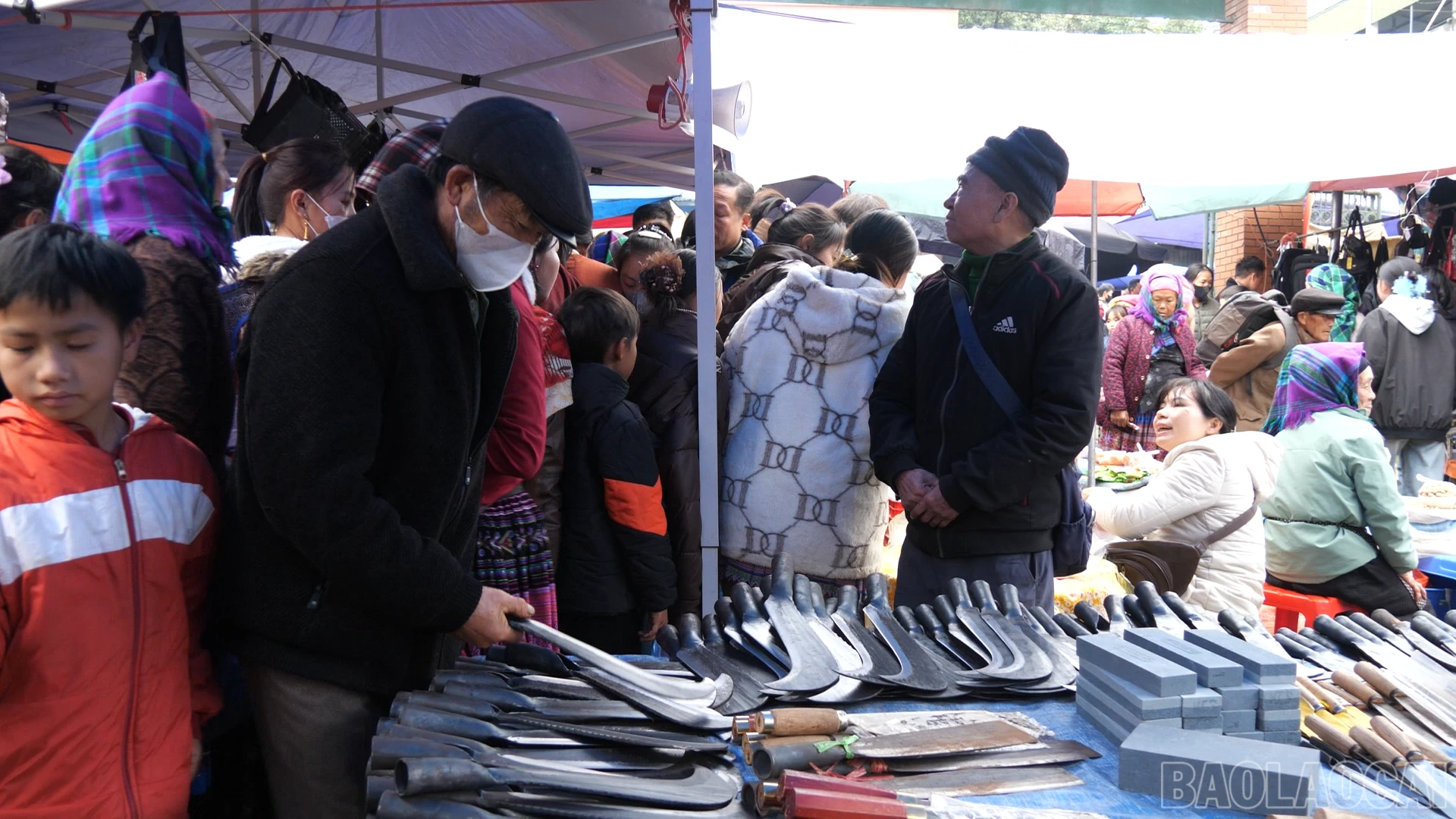 baolaocai-br_p116426100-10-30-44still007.png