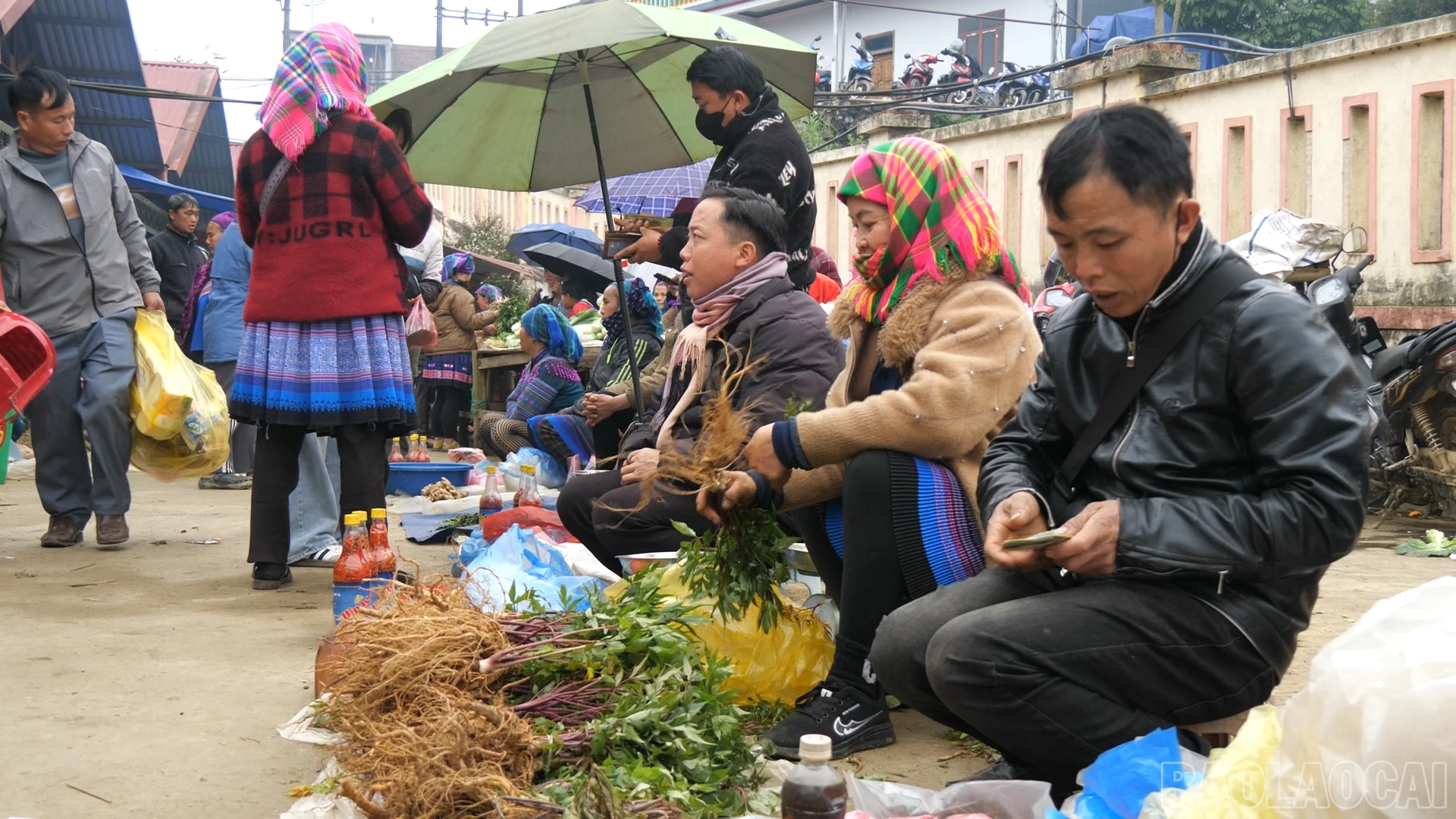 baolaocai-br_p116426100-11-32-01still015.png