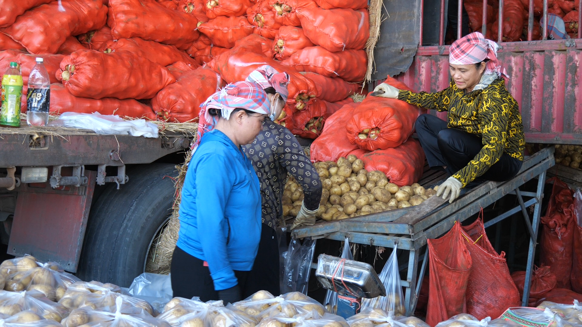 nong-san-nhap-khau00-12-33-53still004.png