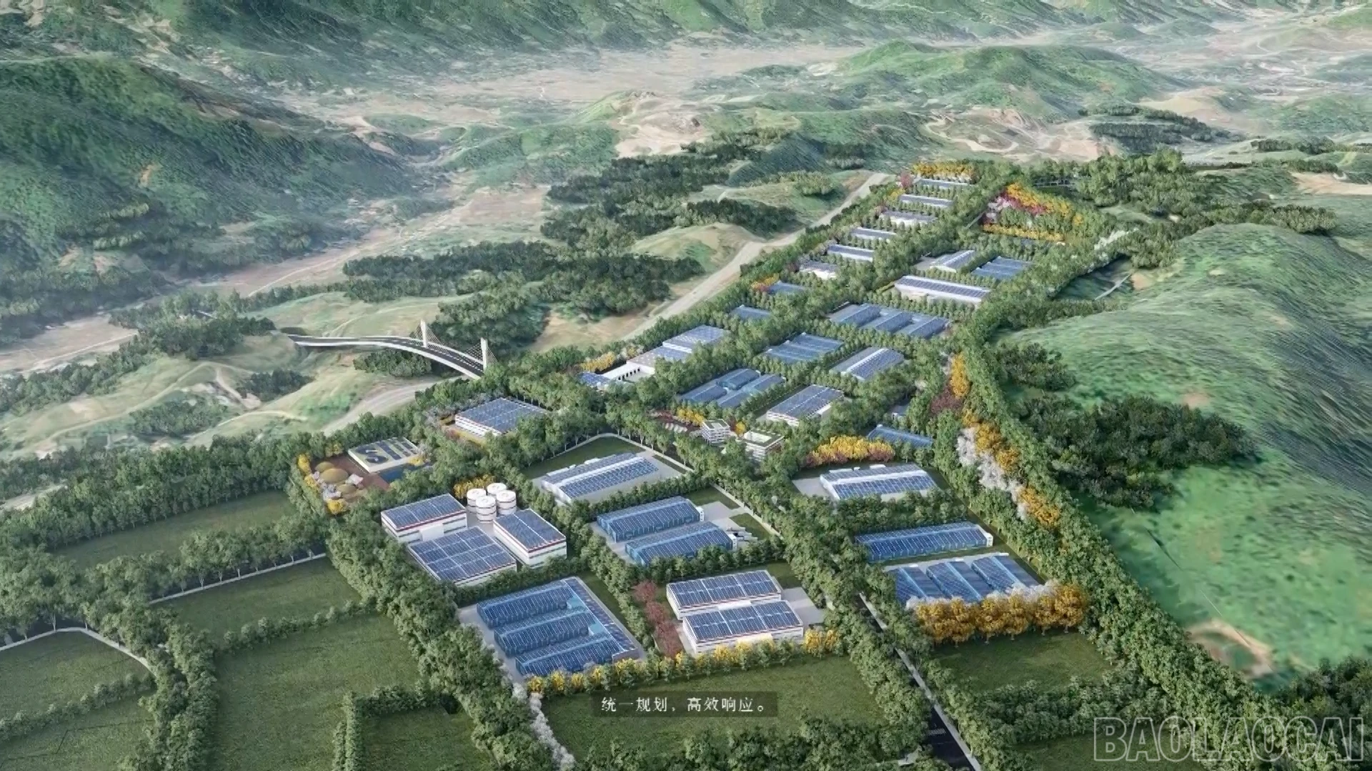 baolaocai-br_tq-dau-tu00-16-54-18still003.png