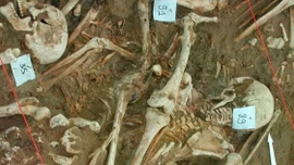 DNA hé lộ nguyên nhân bất ngờ khiến quân đội của Napoleon diệt vong