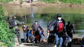 Gần 500 công dân Ấn Độ mắc kẹt ở Thái Lan sau khi trốn khỏi trung tâm lừa đảo ở Myanmar