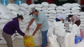 Xuất cấp hơn 14.660 tấn gạo dự trữ hỗ trợ Tết và giáp hạt năm 2026