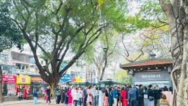 Du lịch Việt Nam tưng bừng đón khách "xông đất" năm mới Bính Ngọ