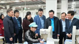 Thủ tướng chỉ đạo chăm lo, hỗ trợ nhân dân đón Tết Nguyên đán vui tươi, an toàn, tiết kiệm