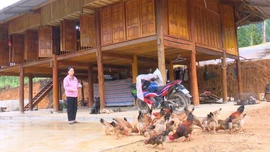 Mùa xuân trong những ngôi nhà mới sau thiên tai