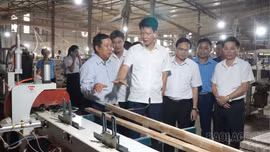 Phó Bí thư Tỉnh ủy, Chủ tịch Ủy ban MTTQ Việt Nam tỉnh Nguyễn Thế Phước kiểm tra các mô hình sản xuất tại xã Trấn Yên