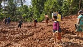 Hơn 300 người thiệt mạng do lũ lụt tại Indonesia, nhiều khu vực vẫn bị cô lập