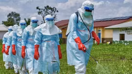WHO tăng tốc tìm vaccine, thuốc điều trị giữa lúc Ebola bùng phát tại Congo