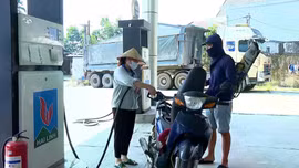 Hạn chót các hãng phải công bố danh mục xe tương thích với xăng E10