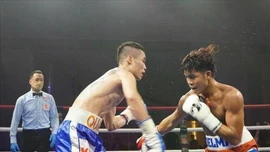 Việt Nam lần đầu đăng cai Hội nghị thường niên Liên đoàn Quyền anh quốc tế