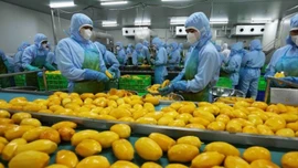 Thị trường rộng mở, nông sản hữu cơ nỗ lực tìm chỗ đứng