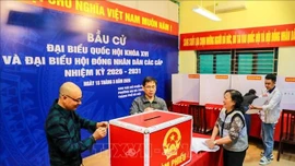 Ngày 15/3/2026 - Ngày hội non sông