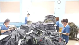 Nhu cầu lao động Việt Nam tại Nga tăng cao