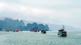 Lấp 'lỗ hổng' cho du lịch đường thủy