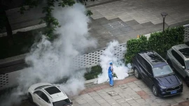 Bộ Y tế phát cảnh báo khẩn sau khi bệnh Chikungunya bùng phát mạnh ở Trung Quốc