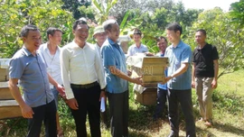 Bàn giao ong giống, vật tư triển khai mô hình nuôi ong mật tại xã Xuân Quang