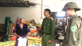 "Chìa khóa" để nông sản Lào Cai vươn xa