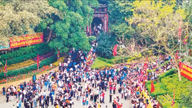 Như cây một cội, như con một nhà