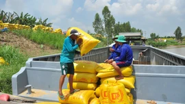 Quyền Bộ trưởng Nông nghiệp nói về tình hình gạo Việt khi Philippines, Indonesia dừng nhập khẩu