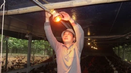 Thời tiết dịp nghỉ Tết Dương lịch 2026: Vùng núi Bắc Bộ có nơi rét đậm