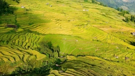 Du khách đổ về Y Tý, đắm chìm với ruộng bậc thang đẹp nhất Tây Bắc