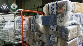 Australia phá đường dây nhập khẩu hơn 500 kg cocaine qua cảng Sydney