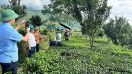 Đồng chí Lý Bình Minh - Phó Chủ tịch HĐND tỉnh làm việc tại xã Gia Hội