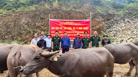 Đoàn Kinh tế - Quốc phòng 345 cấp con giống, vật tư nông nghiệp hỗ trợ hộ dân vùng dự án