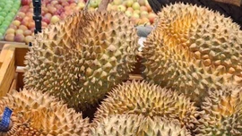 Sầu riêng Việt Nam nhận thêm tin vui từ Trung Quốc, ngược dòng ngoạn mục