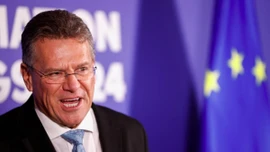 EU mở “kênh liên lạc đặc biệt” với Trung Quốc nhằm bảo đảm chuỗi cung ứng đất hiếm