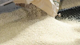 Giá gạo xuất khẩu giảm nhẹ do nhu cầu yếu