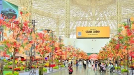 Hội chợ Mùa Thu lần thứ nhất năm 2025: Bức họa sinh động về sức sống của hàng Việt