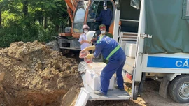 Tiêu huỷ hơn 400kg thịt lợn bốc mùi hôi thối