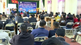 Phường Trung Tâm tư vấn cơ hội việc làm trong nước và đi làm việc ở nước ngoài theo hợp đồng