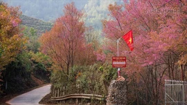 Xã Mù Cang Chải chuẩn bị tổ chức Festival Khèn Mông, Lễ hội Hoa tớ dày và hoạt động chào năm mới