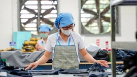 5 năm "lửa thử vàng" của kinh tế Việt Nam