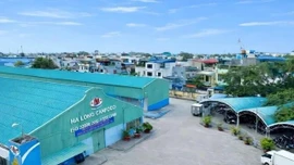 Bắt khẩn cấp Tổng Giám đốc Công ty Cổ phần đồ hộp Hạ Long