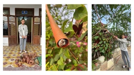 Công an phường Yên Bái bắt giữ đối tượng trộm cắp dây điện chiếu sáng