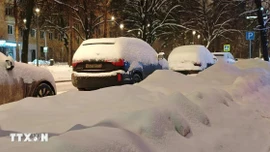 Bão mùa Đông càn quét châu Âu, nhiều nước bị thiệt hại nghiêm trọng