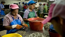 Thái Lan siết chặt kiểm tra, ngăn chặn lao động bất hợp pháp