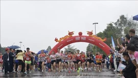 Trên 8.000 người tham gia Ngày chạy Olympic vì sức khỏe toàn dân 2026