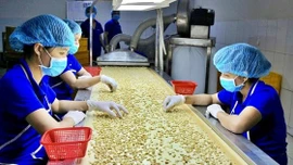 Nông sản Việt tái cấu trúc để khẳng định vị thế