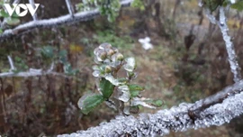 Bắc Bộ đón không khí lạnh, trời chuyển rét, nhiệt độ có nơi xuống dưới 14 độ