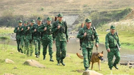 Bộ đội Biên phòng phấn đấu hoàn thành xuất sắc nhiệm vụ trong giai đoạn mới