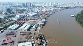 Doanh nghiệp, ngành hàng đối phó gián đoạn vận chuyển hàng hải