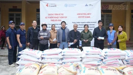  Hỗ trợ trên 400 tấn phân bón cho các hộ bị ảnh hưởng bởi bão Yagi 